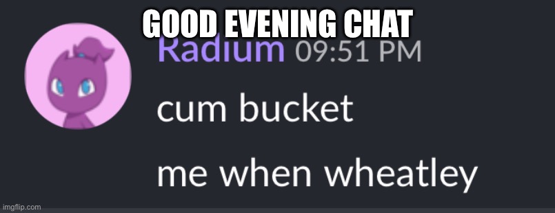 Milk bucket radium | GOOD EVENING CHAT | image tagged in milk bucket radium | made w/ Imgflip meme maker