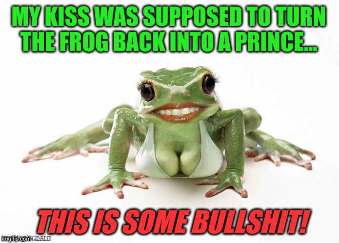 Frogs boobs | MY KISS WAS SUPPOSED TO TURN
THE FROG BACK INTO A PRINCE... THIS IS SOME BULLSHIT! | image tagged in frogs boobs | made w/ Imgflip meme maker