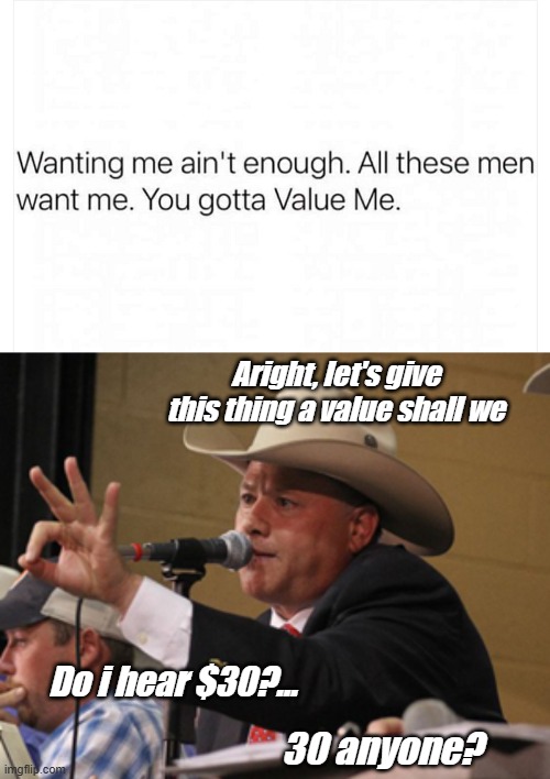 Aright, let's give this thing a value shall we; Do i hear $30?... 30 anyone? | image tagged in funny,relationships | made w/ Imgflip meme maker