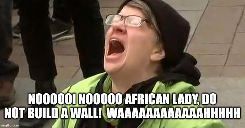 crying liberal | NOOOOOI NOOOOO AFRICAN LADY, DO NOT BUILD A WALL!  WAAAAAAAAAAAAHHHHH | image tagged in crying liberal | made w/ Imgflip meme maker