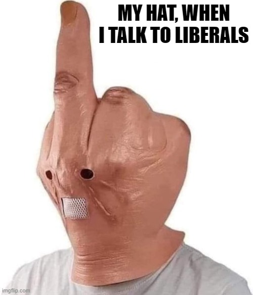 talk to the hat, libs | MY HAT, WHEN I TALK TO LIBERALS | image tagged in stupid liberals,funny memes,donald trump approves,political humor,kamala harris,skank | made w/ Imgflip meme maker