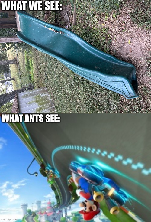 One twist of a slide. (might need anti gravity to ride it) | WHAT WE SEE:; WHAT ANTS SEE: | image tagged in slide | made w/ Imgflip meme maker