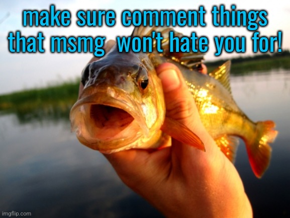 , | make sure comment things that msmg  won't hate you for! | image tagged in s | made w/ Imgflip meme maker