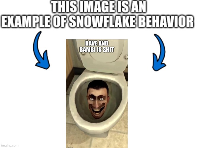 This image is an example of snowflake behavior | image tagged in this image is an example of snowflake behavior | made w/ Imgflip meme maker