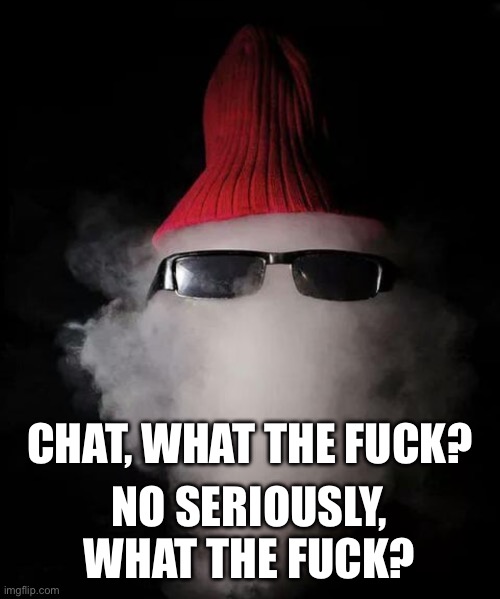 I would ask what happened but I think I’m gonna regret that | CHAT, WHAT THE FUCK? NO SERIOUSLY, WHAT THE FUCK? | made w/ Imgflip meme maker
