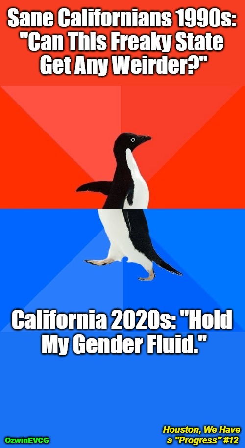 Houston, We Have a ''Progress'' #12 | Sane Californians 1990s: 

"Can This Freaky State 

Get Any Weirder?"; California 2020s: "Hold 

My Gender Fluid."; Houston, We Have 

a ''Progress'' #12; OzwinEVCG | image tagged in clownifornia,awkward penguin,commiefornia,hold my beer,then and now,houston we have a problem | made w/ Imgflip meme maker