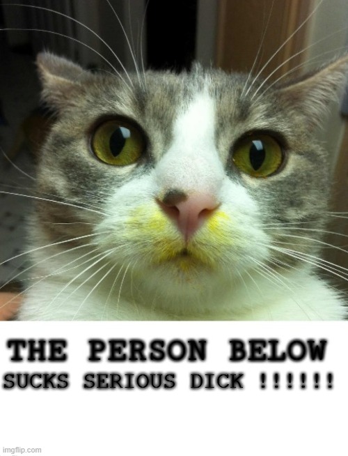 The Person Below Cat | SUCKS SERIOUS DICK !!!!!! | image tagged in the person below cat | made w/ Imgflip meme maker