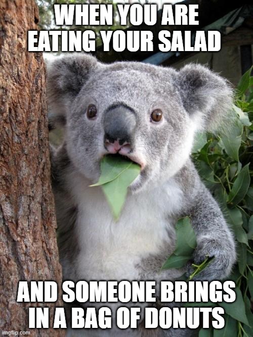 POV part 1 | WHEN YOU ARE EATING YOUR SALAD; AND SOMEONE BRINGS IN A BAG OF DONUTS | image tagged in memes,surprised koala | made w/ Imgflip meme maker