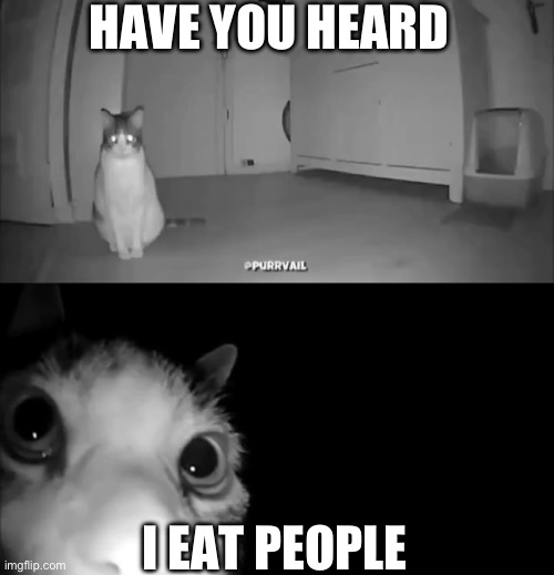 Lone cat | HAVE YOU HEARD; I EAT PEOPLE | image tagged in fun,funny | made w/ Imgflip meme maker