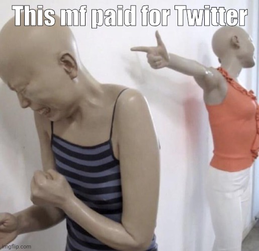 This mf paid for Twitter meme format | This mf paid for Twitter | image tagged in this mf paid for twitter meme format | made w/ Imgflip meme maker