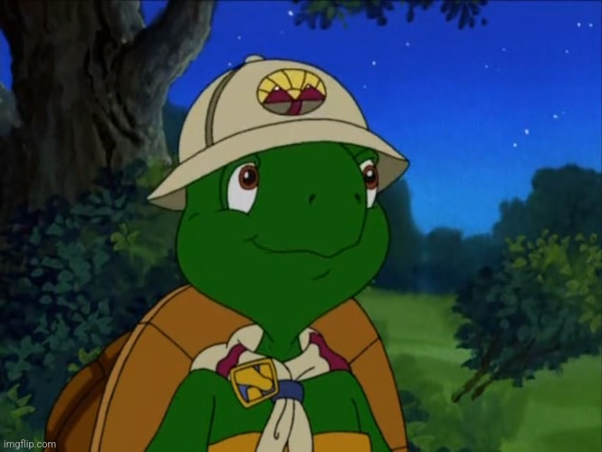 Franklin the Turtle | image tagged in franklin the turtle | made w/ Imgflip meme maker