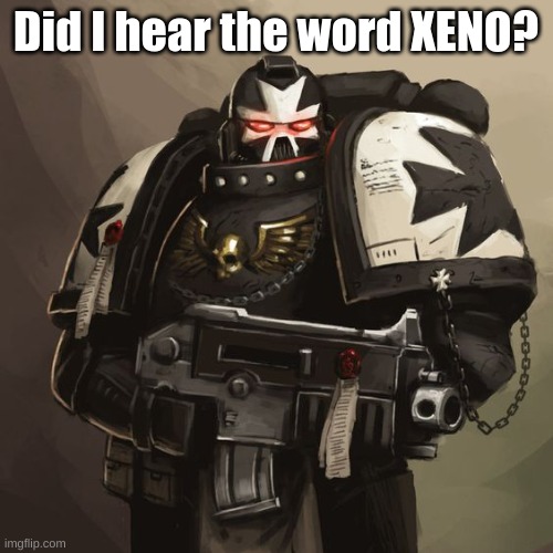 Black Templar | Did I hear the word XENO? | image tagged in black templar | made w/ Imgflip meme maker