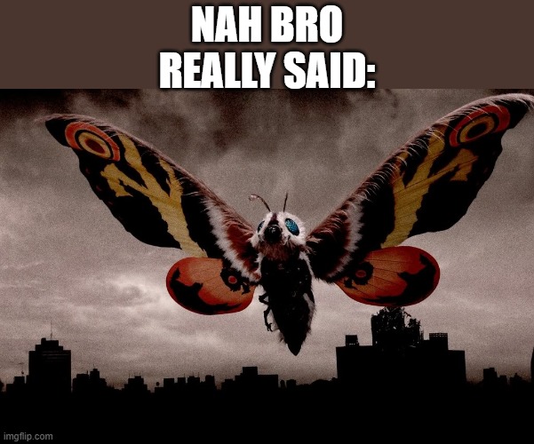 Mothra | NAH BRO REALLY SAID: | image tagged in mothra | made w/ Imgflip meme maker