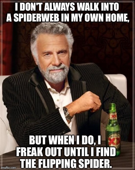 The Most Interesting Man In The World | I DON'T ALWAYS WALK INTO A SPIDERWEB IN MY OWN HOME, BUT WHEN I DO, I FREAK OUT UNTIL I FIND THE FLIPPING SPIDER. | image tagged in memes,the most interesting man in the world,AdviceAnimals | made w/ Imgflip meme maker