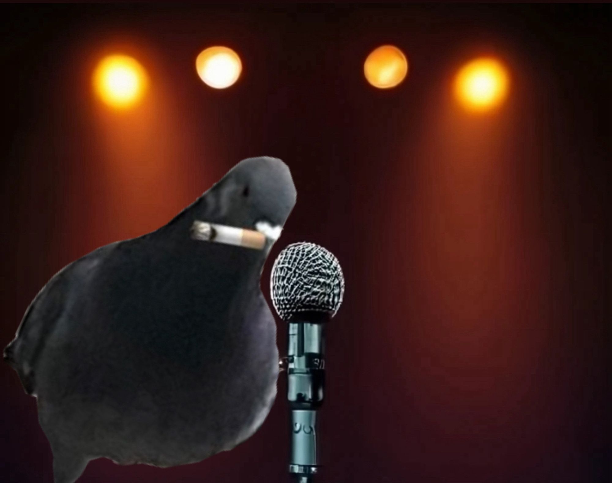 High Quality Pidgeon Stand-Up Blank Meme Template