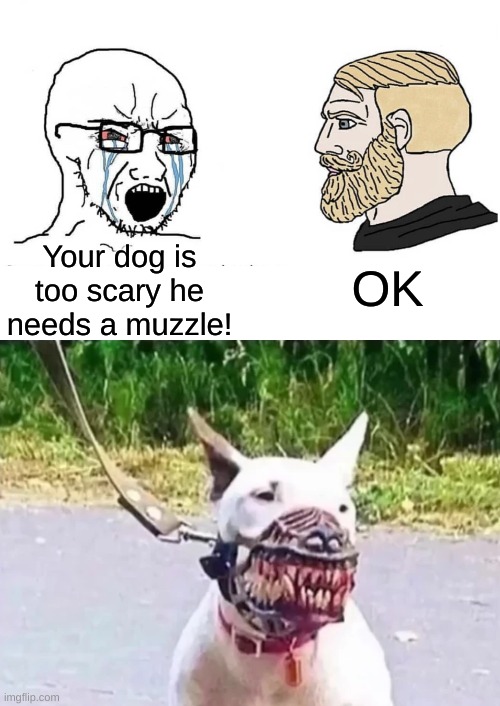 whatever you say... | OK; Your dog is too scary he needs a muzzle! | image tagged in soyboy vs yes chad,memes,funny,dogs | made w/ Imgflip meme maker