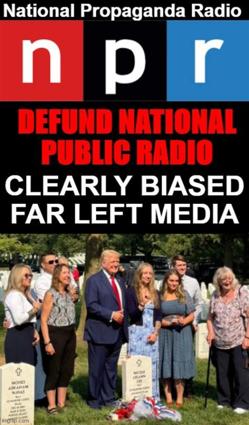 Liars gotta lie | image tagged in npr,liars | made w/ Imgflip meme maker