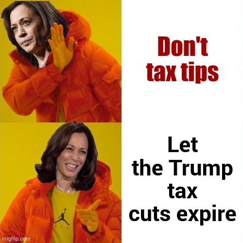 Looks Like What She's Saying To Me | Don't tax tips; Let the Trump tax cuts expire | image tagged in kamala harris hotline bling,tips,no tax,trump tax cuts,expire,memes | made w/ Imgflip meme maker