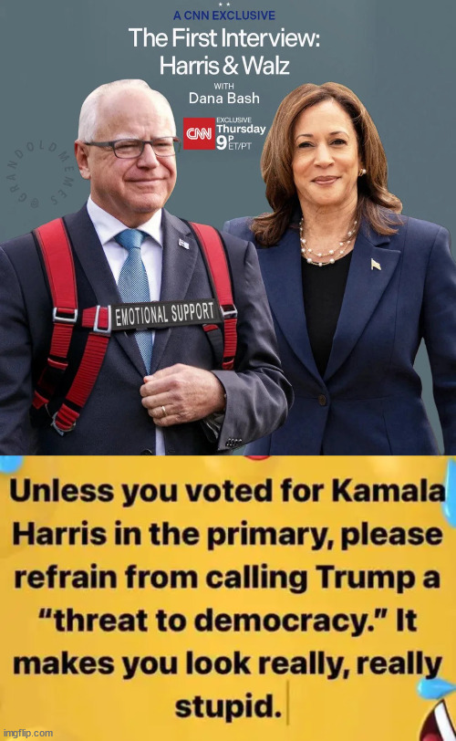 The real threat to democracy | image tagged in marxist kamala,communist tim | made w/ Imgflip meme maker
