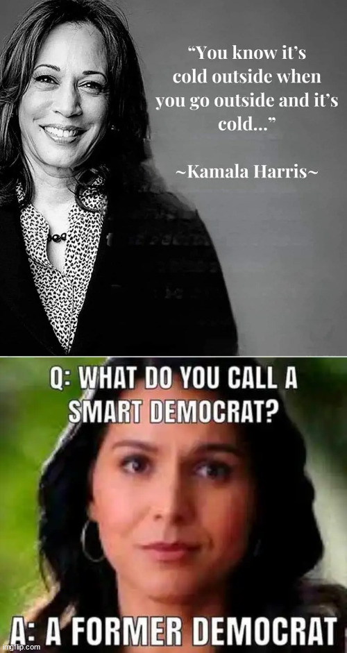 All the smart ones left... | image tagged in tulsi gabbard,smart democrat,kamala harris,dumb democrat | made w/ Imgflip meme maker