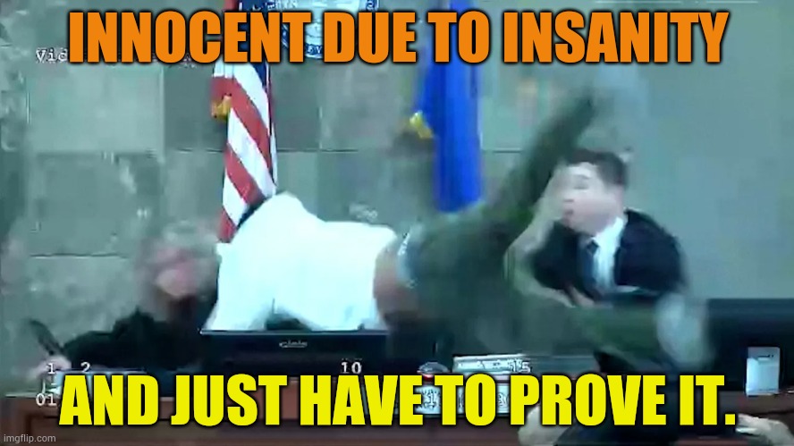 When You Plead | INNOCENT DUE TO INSANITY; AND JUST HAVE TO PROVE IT. | image tagged in memes,fun,say,insanity,jump,judge | made w/ Imgflip meme maker