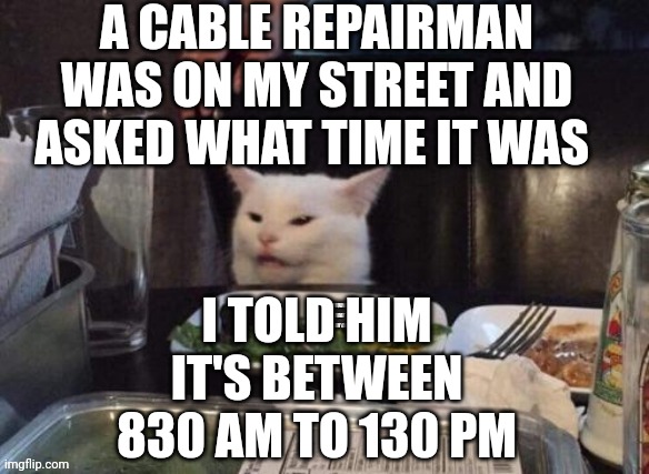 Smudge that darn cat | A CABLE REPAIRMAN WAS ON MY STREET AND ASKED WHAT TIME IT WAS; I TOLD HIM IT'S BETWEEN 830 AM TO 130 PM | image tagged in smudge that darn cat | made w/ Imgflip meme maker