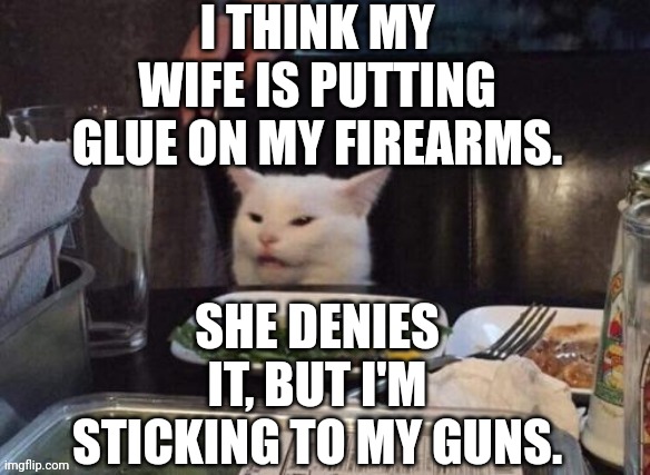 Smudge that darn cat | I THINK MY WIFE IS PUTTING GLUE ON MY FIREARMS. SHE DENIES IT, BUT I'M STICKING TO MY GUNS. | image tagged in smudge that darn cat | made w/ Imgflip meme maker