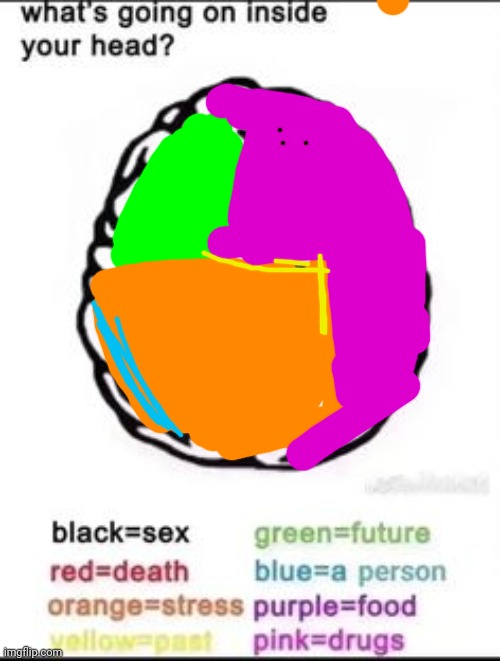 What's going on inside your head? | image tagged in what's going on inside your head | made w/ Imgflip meme maker