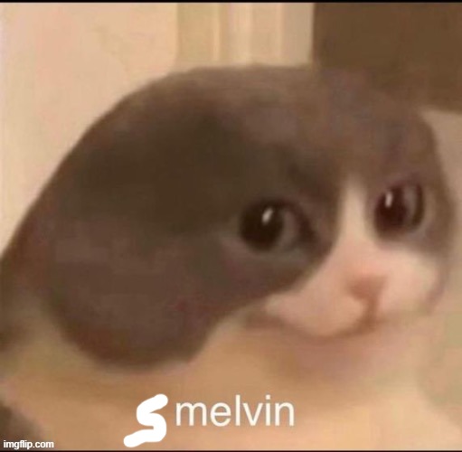 melvin | image tagged in melvin | made w/ Imgflip meme maker