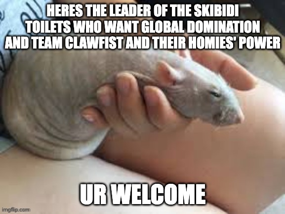 Renis | HERES THE LEADER OF THE SKIBIDI TOILETS WHO WANT GLOBAL DOMINATION AND TEAM CLAWFIST AND THEIR HOMIES' POWER; UR WELCOME | image tagged in renis | made w/ Imgflip meme maker