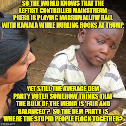 Vote-stupid, stupid voters.  Two different ways of saying . . . Dem Party voters. | SO THE WORLD KNOWS THAT THE LEFTIST CONTROLLED MAINSTREAM PRESS IS PLAYING MARSHMALLOW BALL WITH KAMALA WHILE HURLING ROCKS AT TRUMP. YET STILL THE AVERAGE DEM PARTY VOTER SOMEHOW THINKS THAT THE BULK OF THE MEDIA IS 'FAIR AND BALANCED'?  SO THE DEM PARTY IS WHERE THE STUPID PEOPLE FLOCK TOGETHER? | image tagged in third world skeptical kid | made w/ Imgflip meme maker