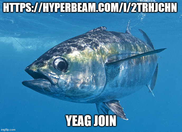 Tuna fish | HTTPS://HYPERBEAM.COM/I/2TRHJCHN; YEAG JOIN | image tagged in tuna fish | made w/ Imgflip meme maker