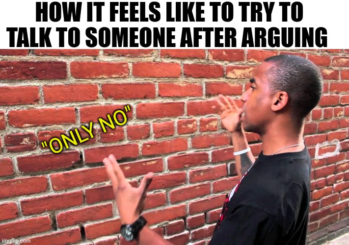 Talking to wall | HOW IT FEELS LIKE TO TRY TO TALK TO SOMEONE AFTER ARGUING; "ONLY NO" | image tagged in talking to wall | made w/ Imgflip meme maker