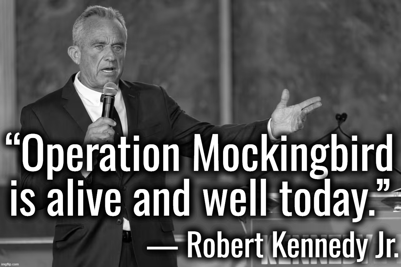 I retort, you deride . . . North Atlantic Terrorist Organization | “Operation Mockingbird is alive and well today.”; — Robert Kennedy Jr. | image tagged in robert kennedy jr,john f kennedy,donald trump,joe biden,deep state | made w/ Imgflip meme maker