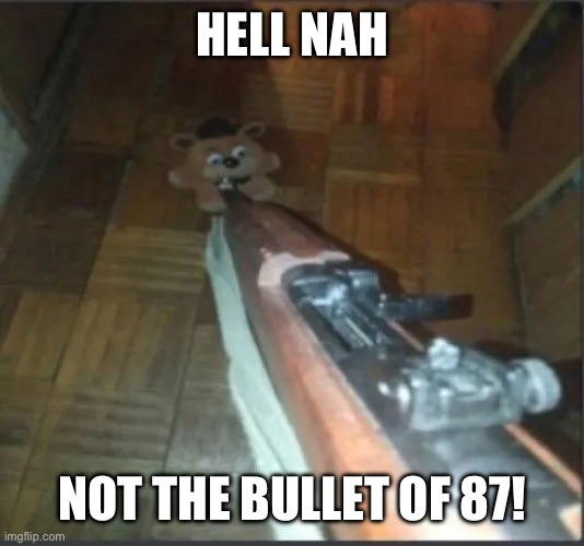 Gun pointing at freddy | HELL NAH; NOT THE BULLET OF 87! | image tagged in gun pointing at freddy | made w/ Imgflip meme maker