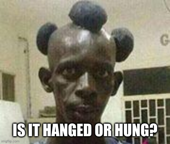 black hair | IS IT HANGED OR HUNG? | image tagged in black hair | made w/ Imgflip meme maker