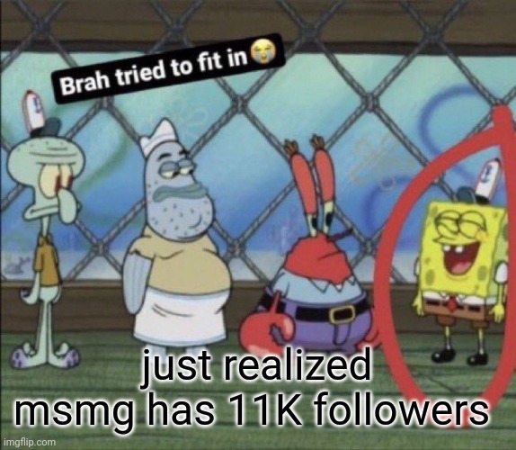 brah tried to fit in | just realized msmg has 11K followers | image tagged in brah tried to fit in | made w/ Imgflip meme maker