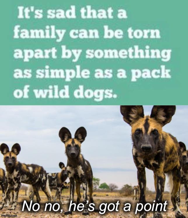 Torn apart | image tagged in african wild dogs no no he s got a point | made w/ Imgflip meme maker