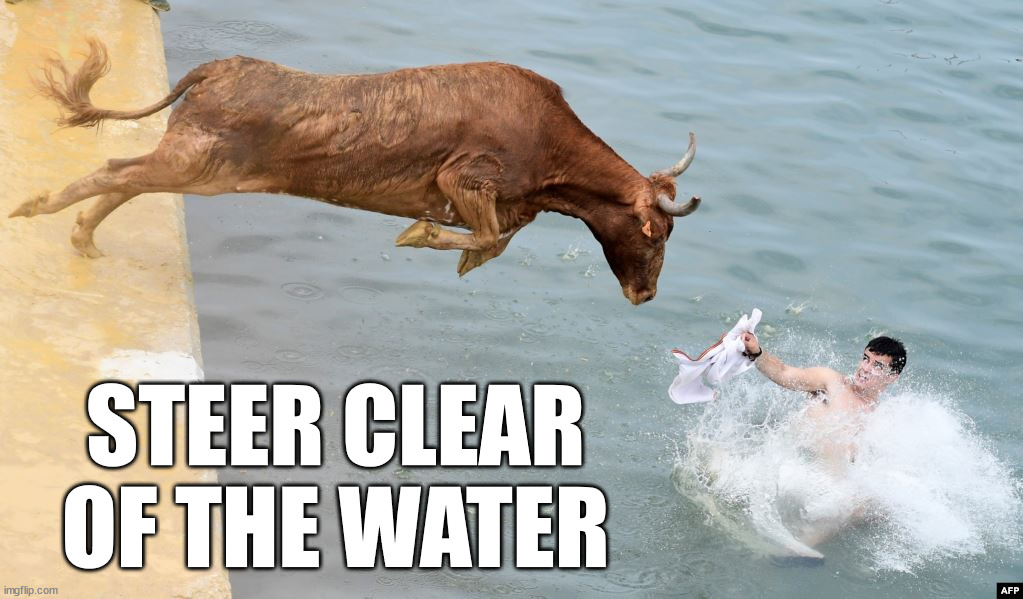 Bullish | STEER CLEAR OF THE WATER | image tagged in eyeroll | made w/ Imgflip meme maker