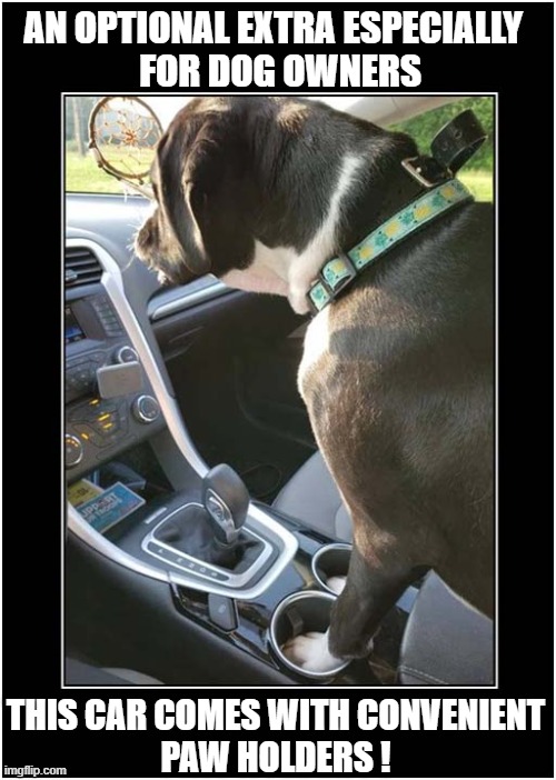 The 'Canine' Package Please ! | AN OPTIONAL EXTRA ESPECIALLY 
 FOR DOG OWNERS; THIS CAR COMES WITH CONVENIENT
PAW HOLDERS ! | image tagged in dogs,cars,optional extras,paws | made w/ Imgflip meme maker