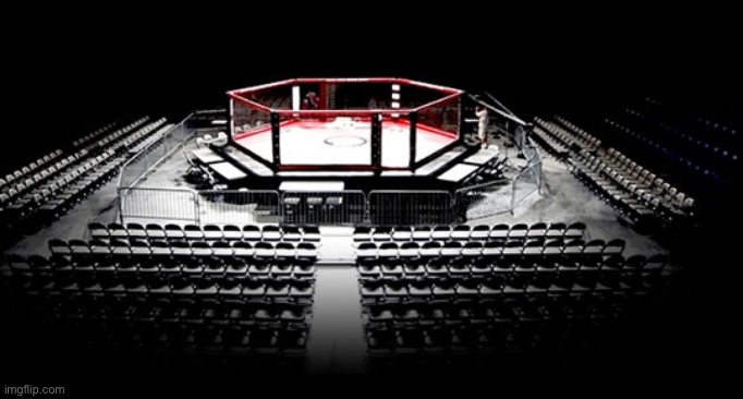 MMA Octagon | image tagged in mma octagon | made w/ Imgflip meme maker