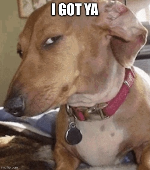 Side eye dog | I GOT YA | image tagged in side eye dog | made w/ Imgflip meme maker