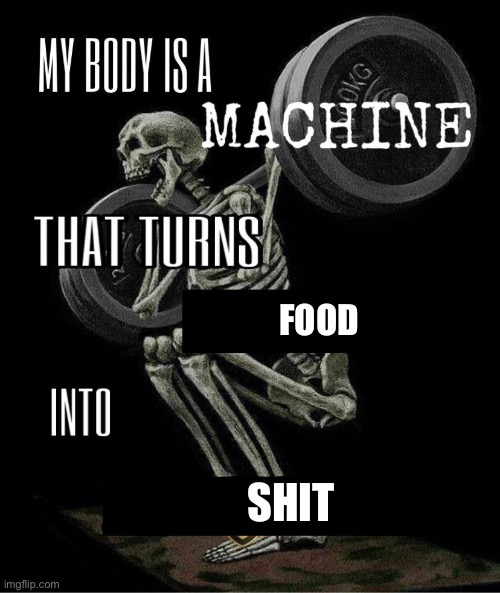 My body is machine | FOOD; SHIT | image tagged in my body is machine | made w/ Imgflip meme maker