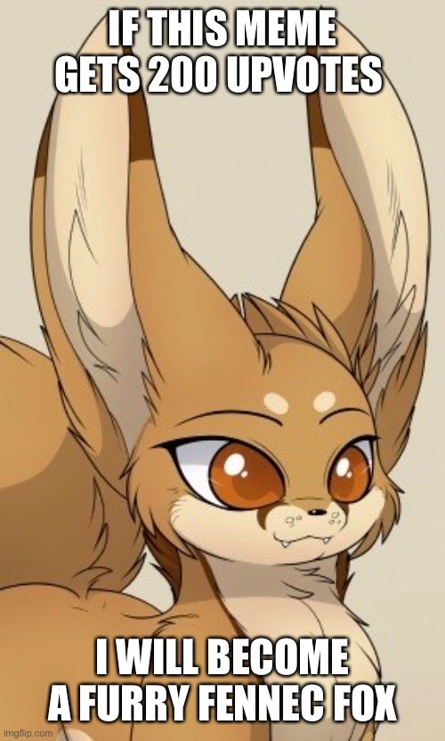 I waiting | IF THIS MEME GETS 200 UPVOTES; I WILL BECOME A FURRY FENNEC FOX | image tagged in memes,funny,fennec fox,furry,anti furry,furries | made w/ Imgflip meme maker