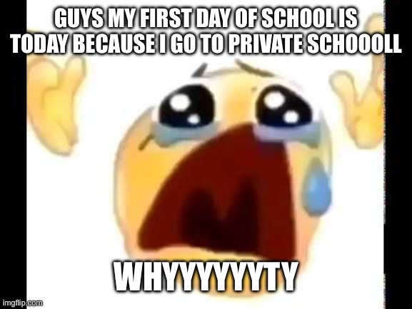 Whuuyyyyyuuyyyyyysyudoddj DM jfpf | GUYS MY FIRST DAY OF SCHOOL IS TODAY BECAUSE I GO TO PRIVATE SCHOOOLL; WHYYYYYYTY | image tagged in cursed crying emoji | made w/ Imgflip meme maker