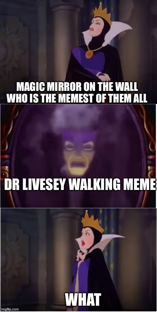 Magic mirror meme | MAGIC MIRROR ON THE WALL WHO IS THE MEMEST OF THEM ALL; DR LIVESEY WALKING MEME; WHAT | image tagged in magic mirror on the wall snow white | made w/ Imgflip meme maker