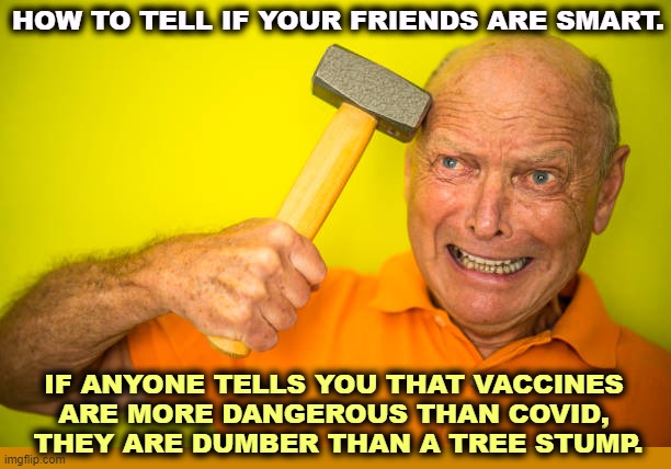 HOW TO TELL IF YOUR FRIENDS ARE SMART. IF ANYONE TELLS YOU THAT VACCINES 
ARE MORE DANGEROUS THAN COVID, 
THEY ARE DUMBER THAN A TREE STUMP. | image tagged in smart,anti vax,dumb,stupid,hopeless,idiot | made w/ Imgflip meme maker