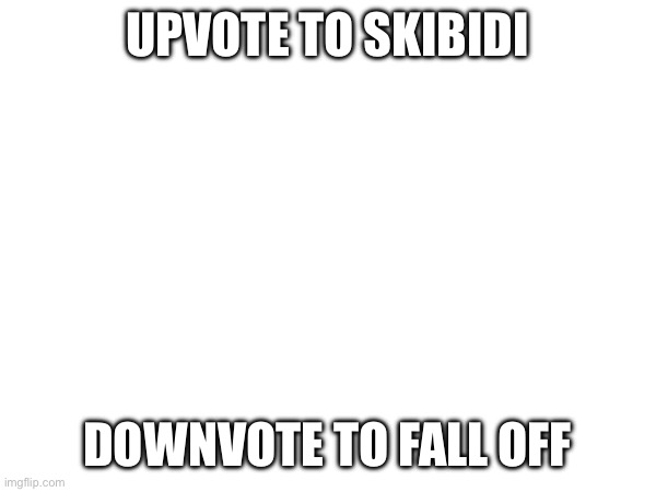 UPVOTE TO SKIBIDI; DOWNVOTE TO FALL OFF | image tagged in tk | made w/ Imgflip meme maker