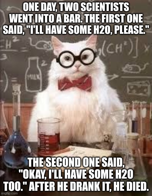 H2O vs. H2O2 | ONE DAY, TWO SCIENTISTS WENT INTO A BAR. THE FIRST ONE SAID, "I'LL HAVE SOME H2O, PLEASE."; THE SECOND ONE SAID, "OKAY, I'LL HAVE SOME H2O TOO." AFTER HE DRANK IT, HE DIED. | image tagged in smart cat | made w/ Imgflip meme maker