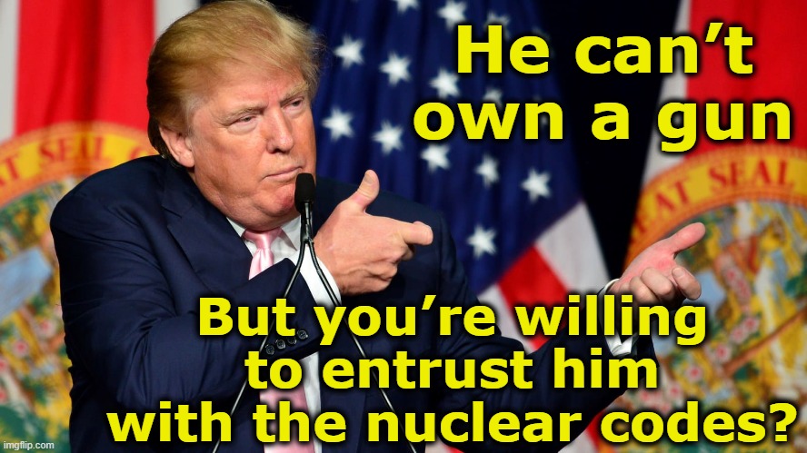 Trump Guns & Nukes | He can’t own a gun; But you’re willing to entrust him with the nuclear codes? | image tagged in nevertrump,despicable donald,maga,trump,nra,donald trump is an idiot | made w/ Imgflip meme maker